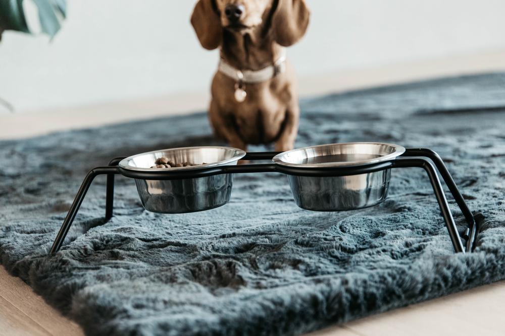 Futternapf Komfort - Kentucky Dogwear