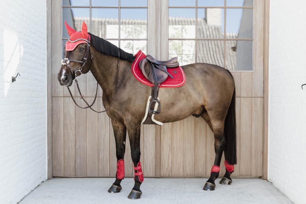 Springgamaschen Bamboo Elastik Velvet - Kentucky Horsewear