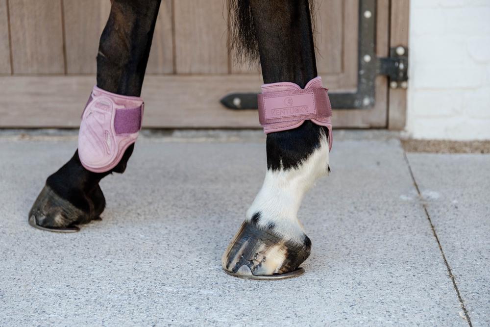 Streichkappe Young Horse Velvet - Kentucky Horsewear