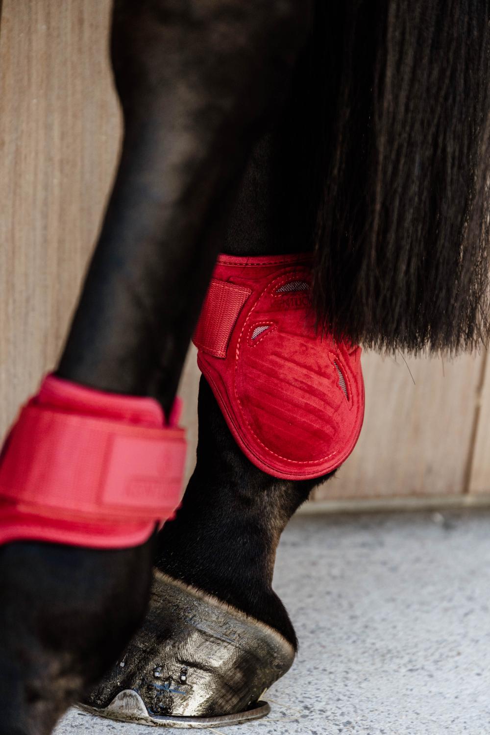 Streichkappe Young Horse Velvet - Kentucky Horsewear