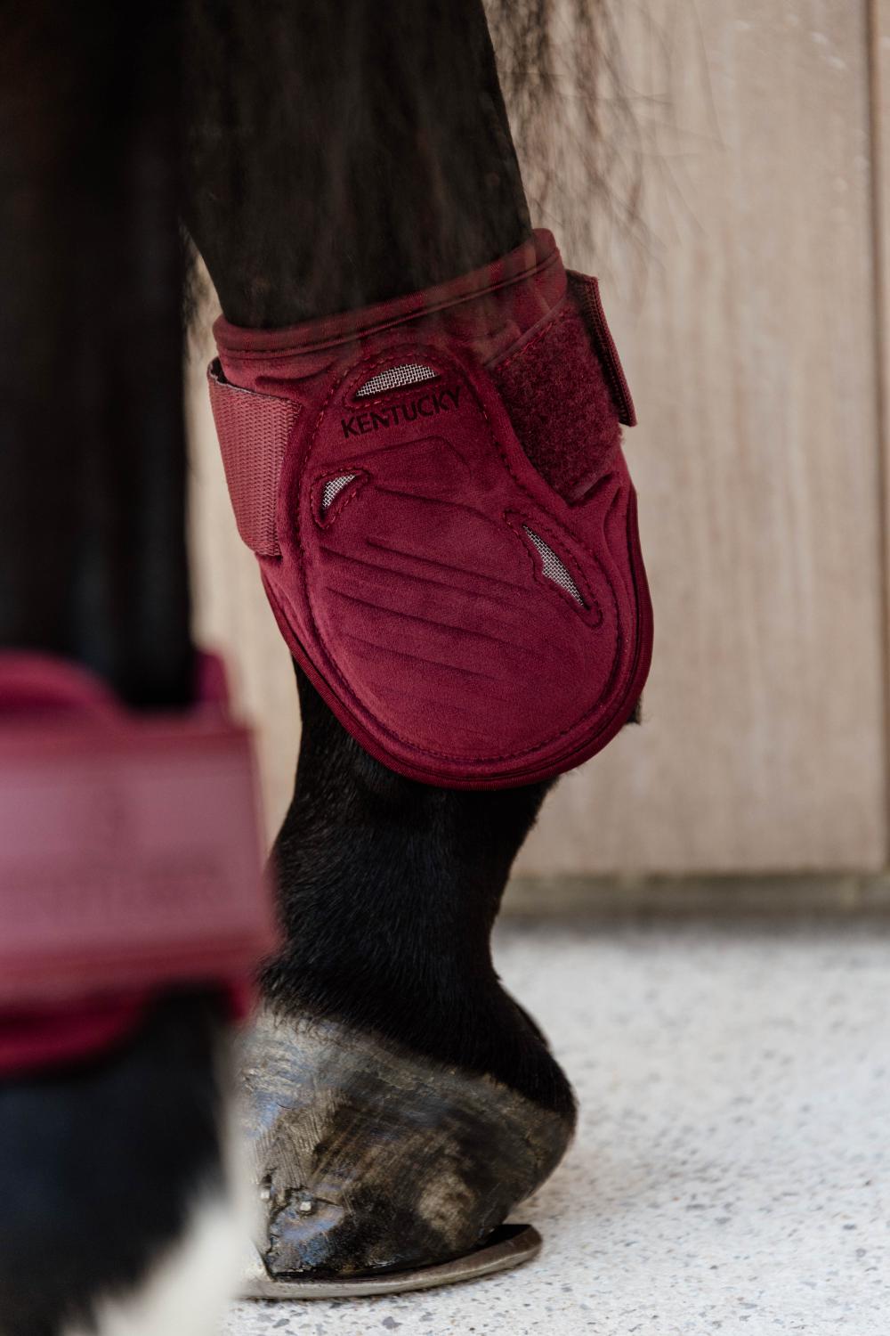 Streichkappe Young Horse Velvet - Kentucky Horsewear