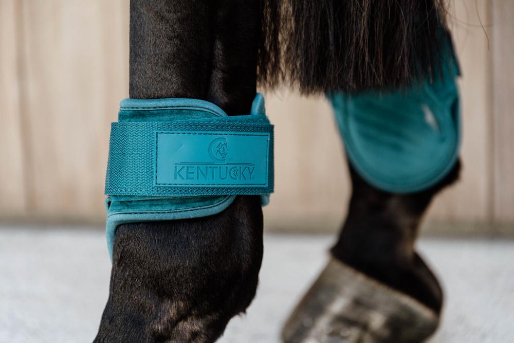 Streichkappe Young Horse Velvet - Kentucky Horsewear