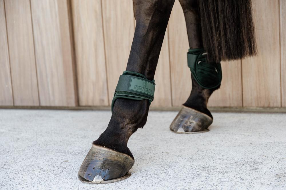 Streichkappe Young Horse Velvet - Kentucky Horsewear