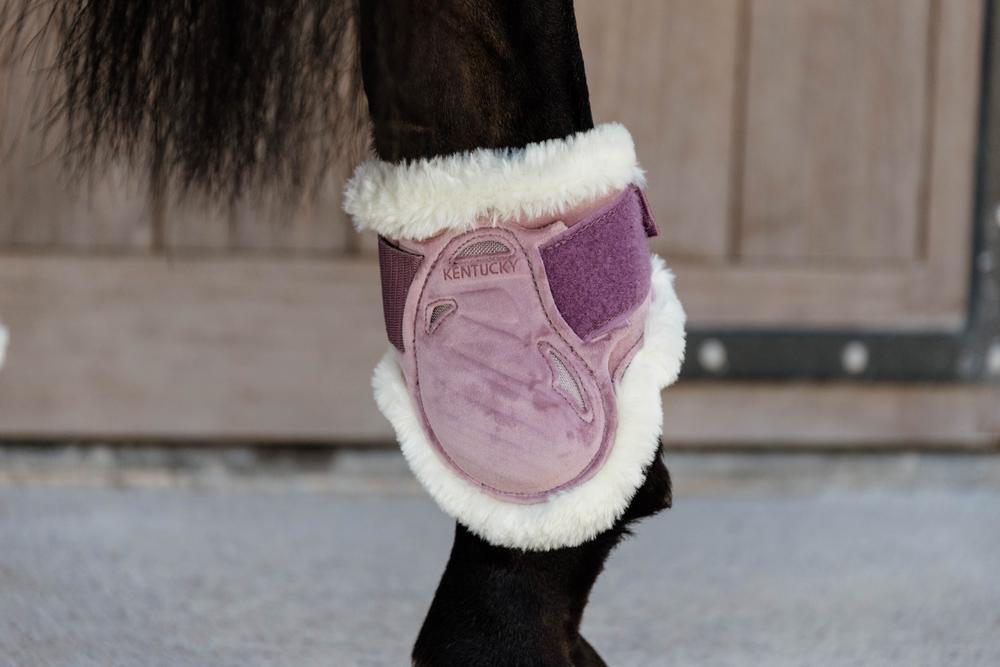 Streichkappe Young Horse Velvet - Kentucky Horsewear