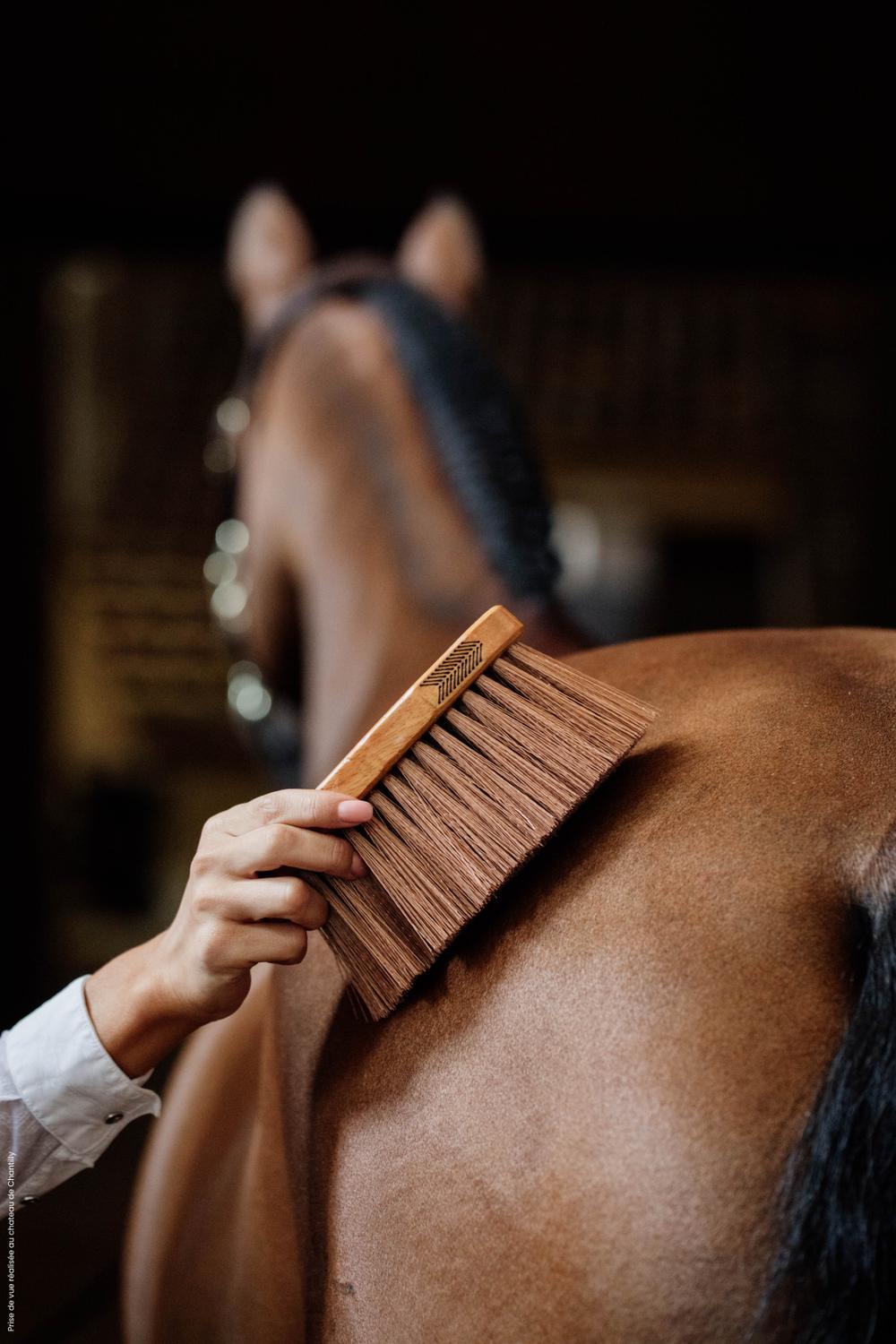 Middle Brush Medium - Grooming Deluxe