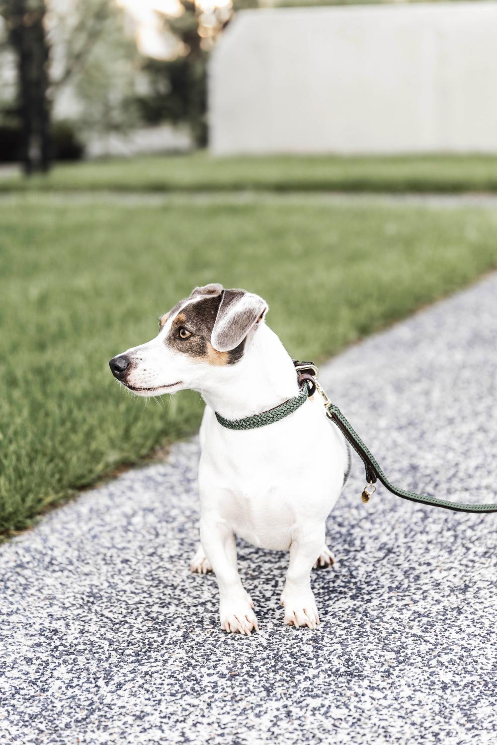 Hundeleine Plaited Nylon 120 cm