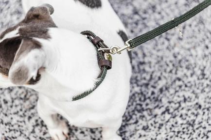 Hundeleine Plaited Nylon 200 cm