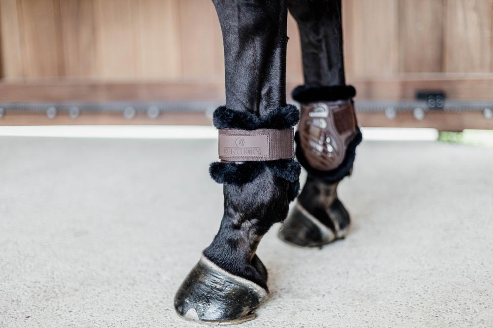 Streichkappe Young Horse - Kentucky Horsewear
