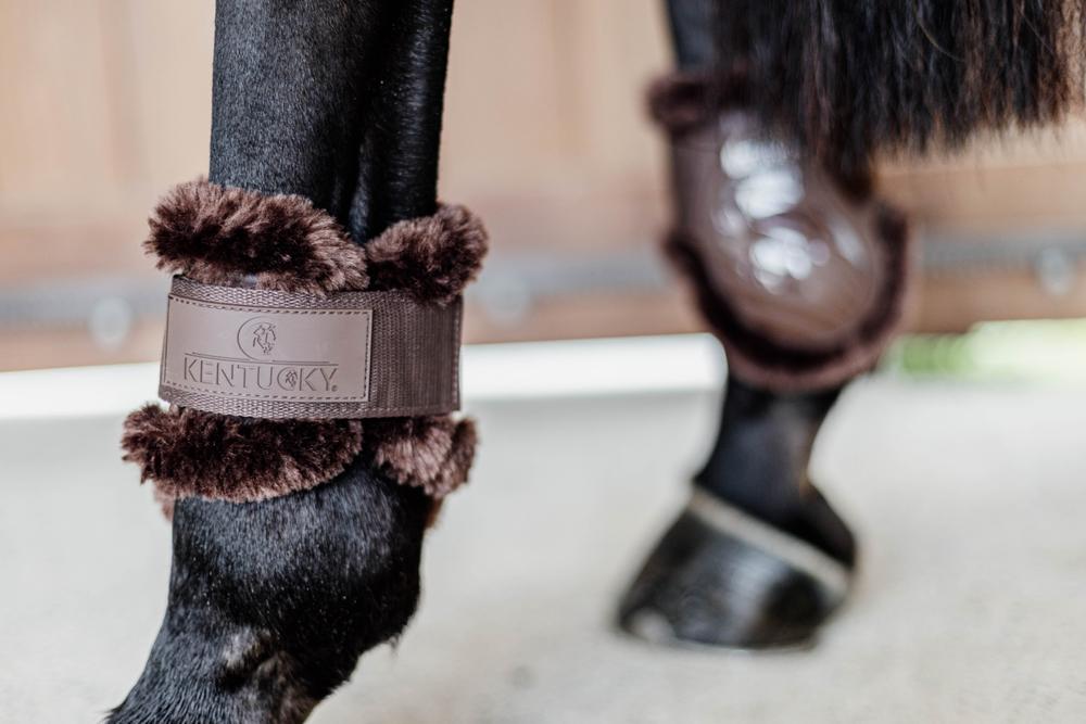 Streichkappe Young Horse - Kentucky Horsewear