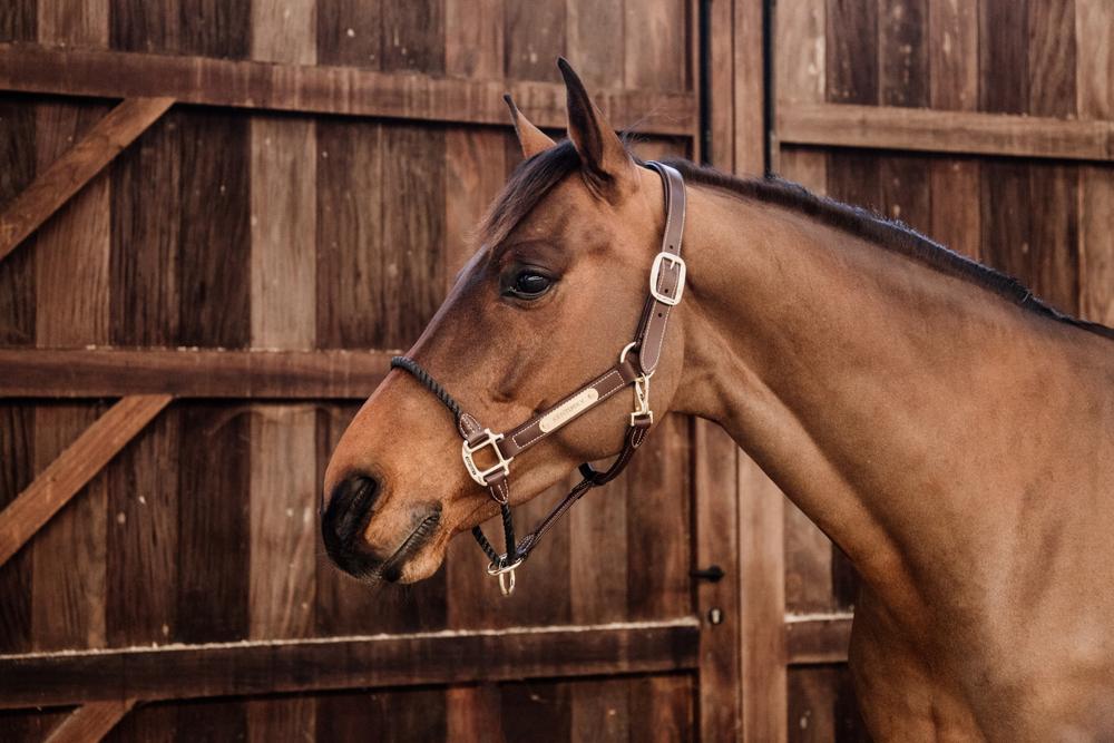 Lederhalfter Rope - Kentucky Horsewear