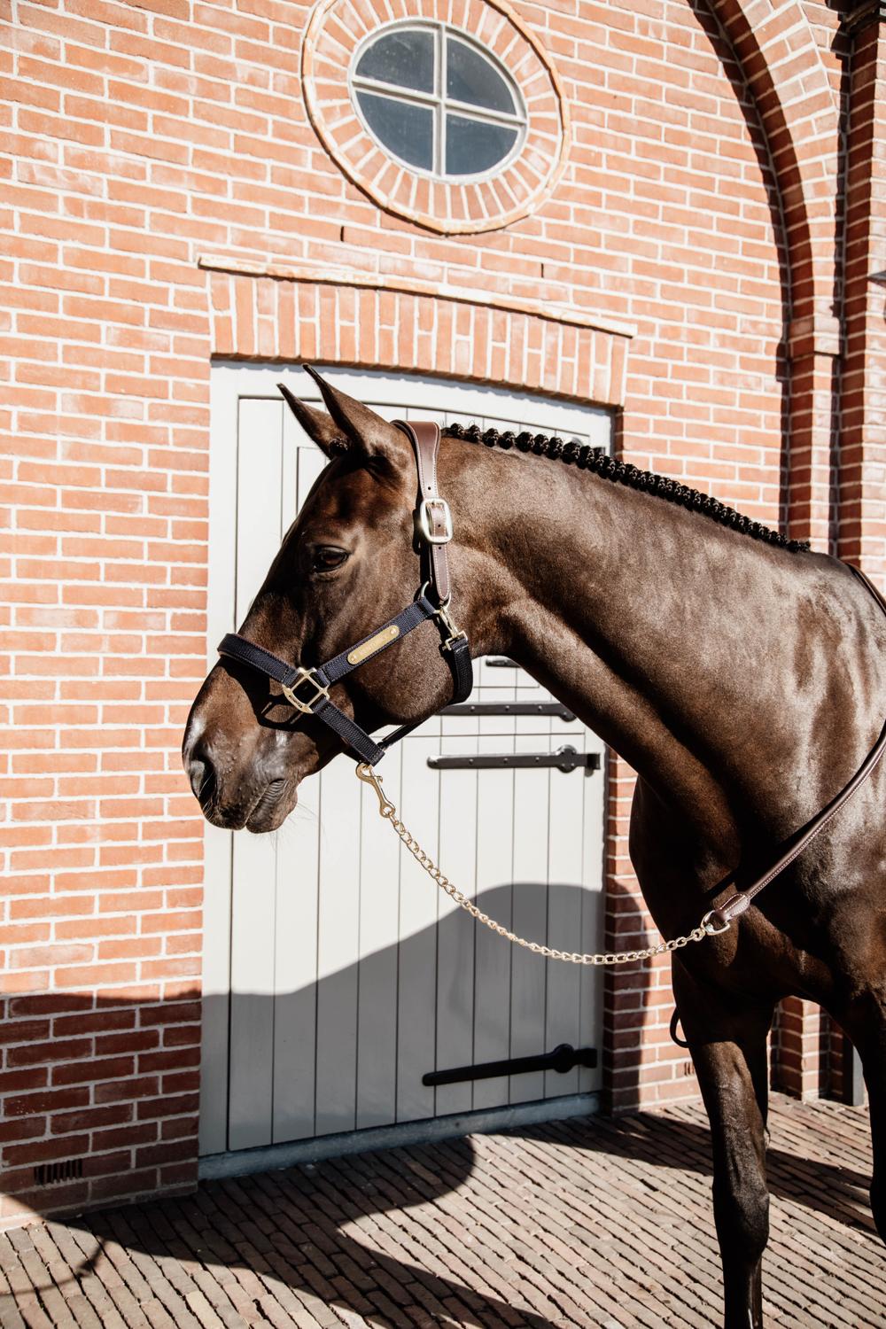 Führleine Leder Mit Kette - Kentucky Horsewear