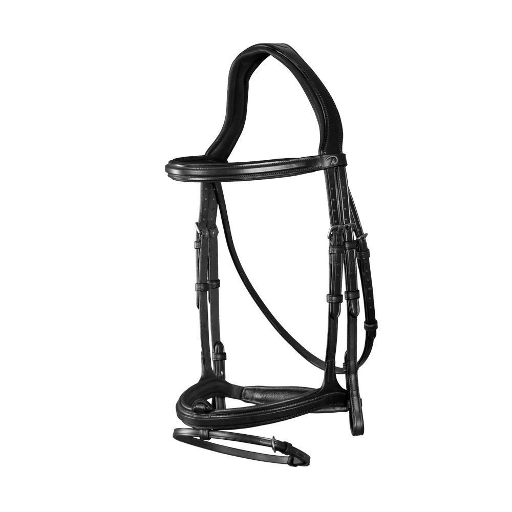 Trense mit kombiniertem Reithalfter