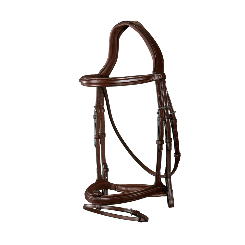 Trense mit kombiniertem Reithalfter