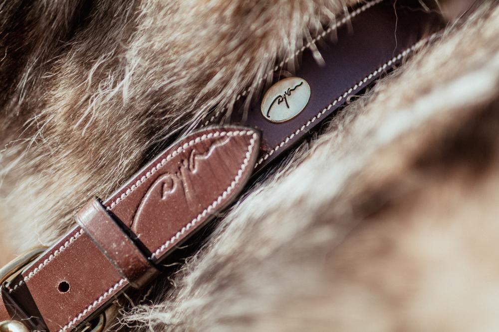 Hundehalsband aus Glattleder