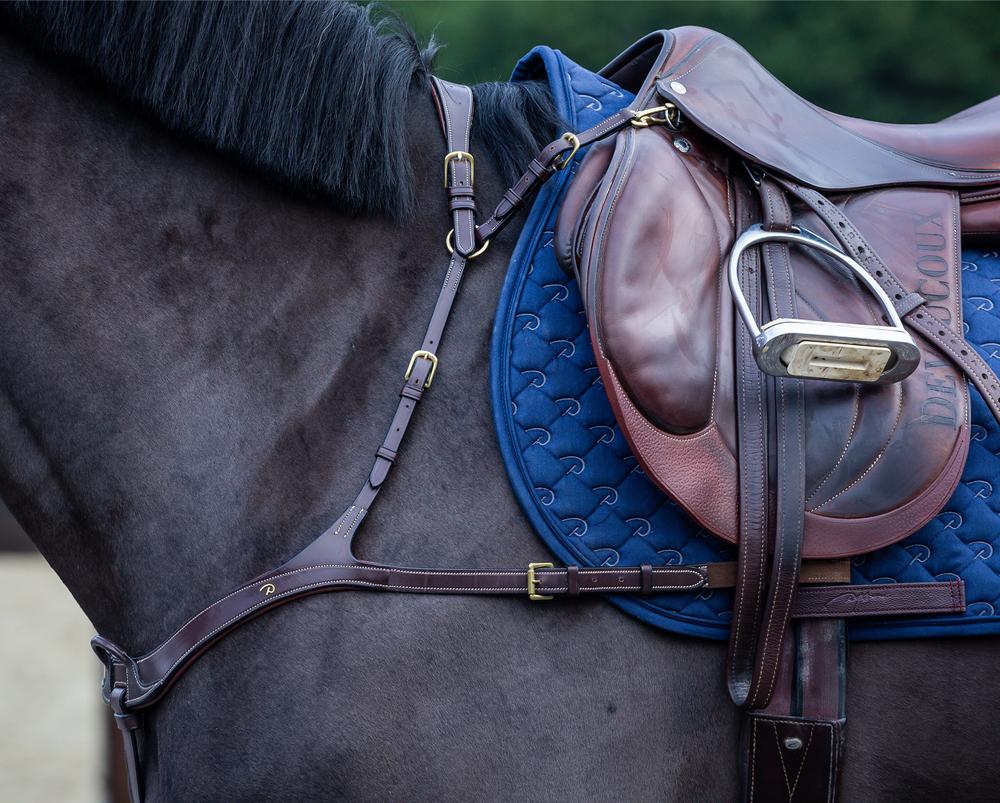 Anatomisches Vorderzeug