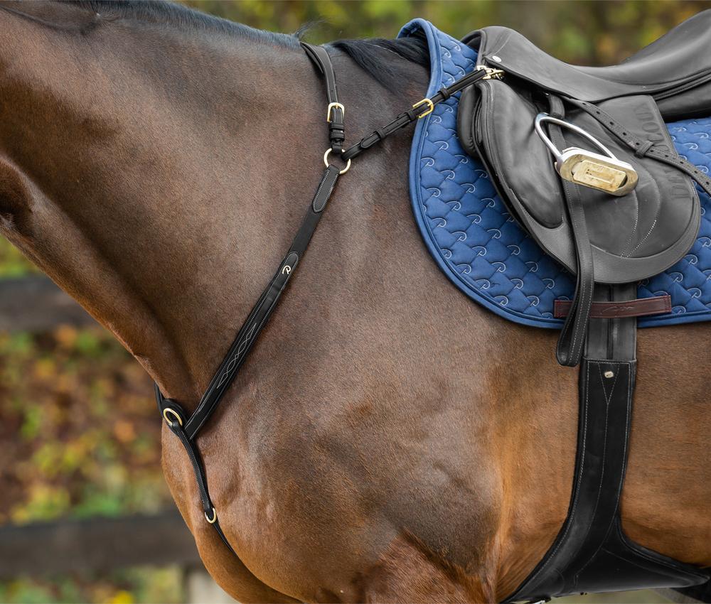 Vorderzeug mit Brücke