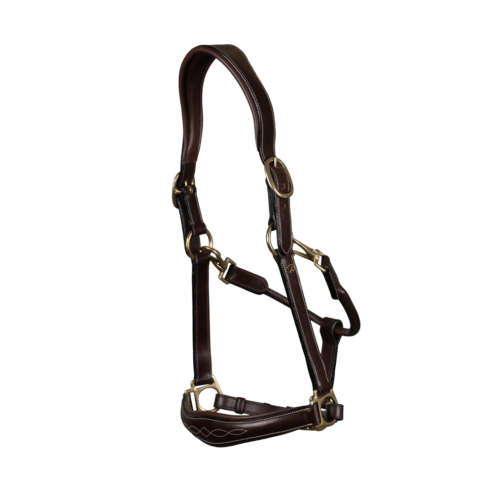 Lederhalfter 2-in-1 Transport- & Stalhalfter