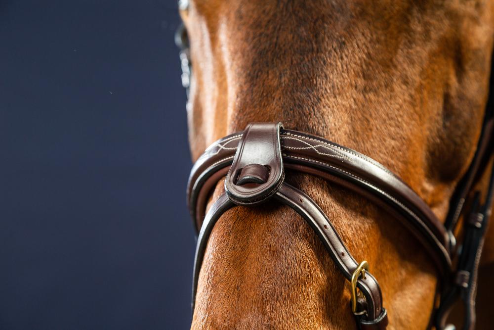 Sperrriemen 1/2" 13mm mit 2 abnehmbaren Befestigungschlaufen