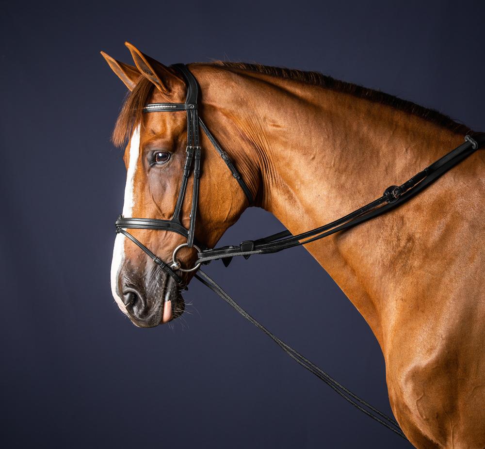 Schlaufzügel aus Leder und Nylon