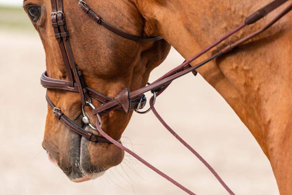 Schlaufzügel aus Leder und Nylon