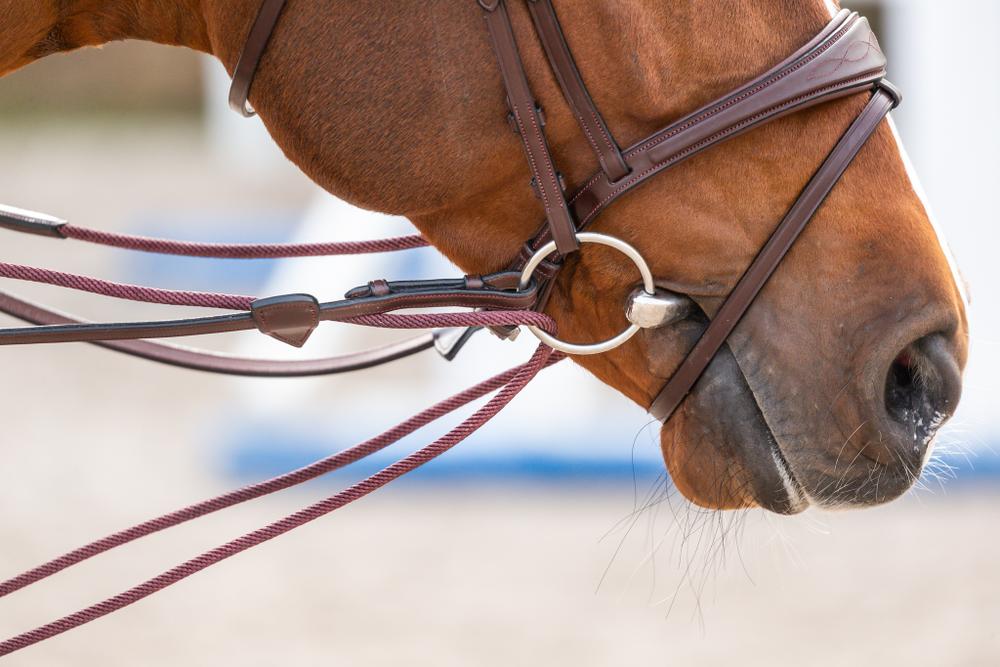Schlaufzügel aus Leder und Nylon