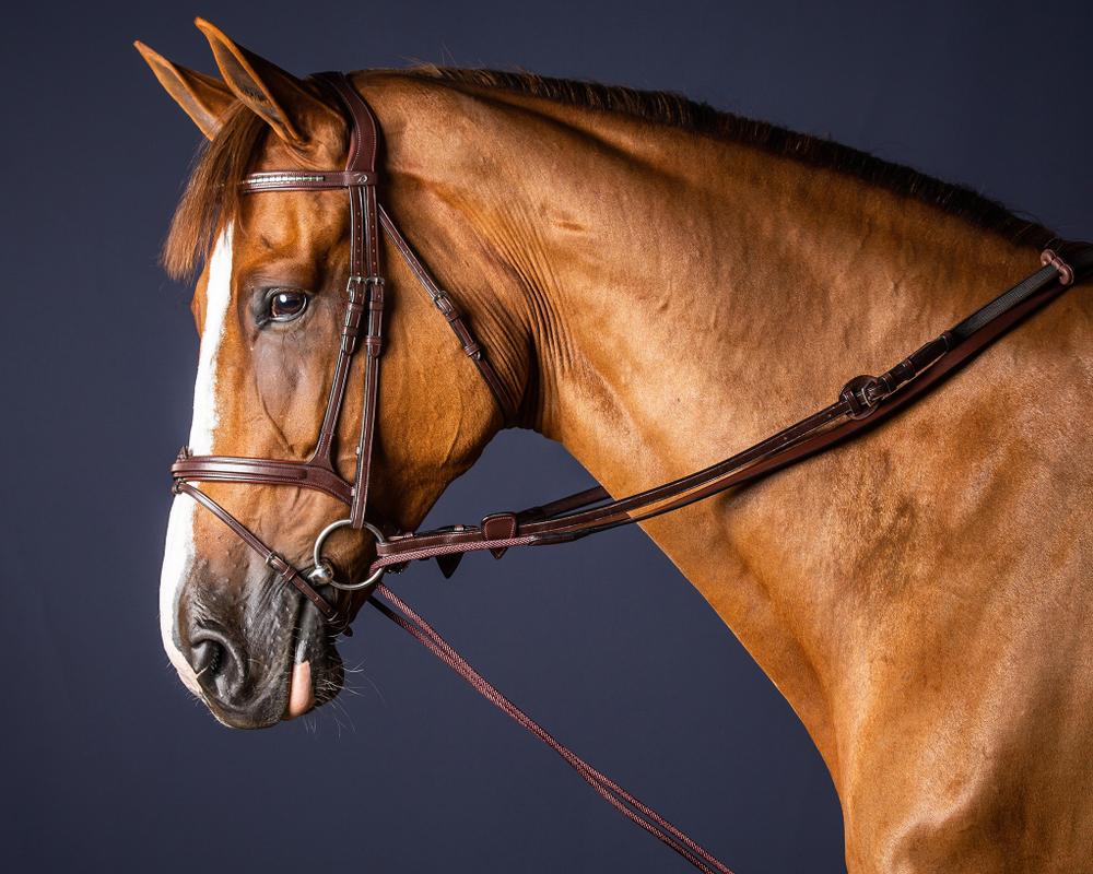 Schlaufzügel aus Leder und Nylon