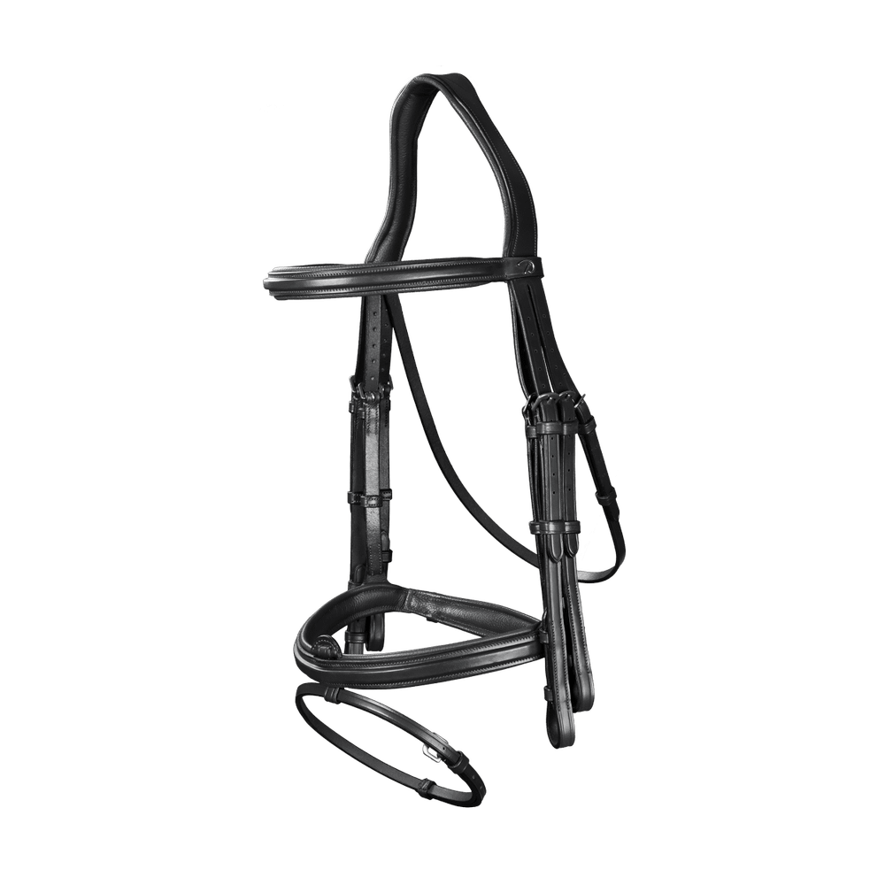 Kandare mit kombiniertem Reithalfter