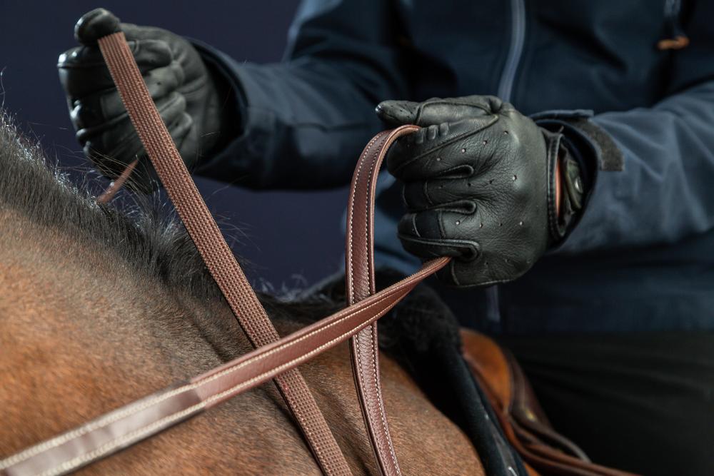 Schmale Lederzügel mit gummierter Innenseite Jagdzügel 1/2" 13mm