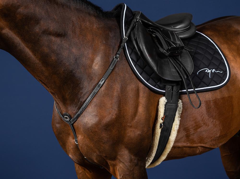 Vorderzeug mit Elastik