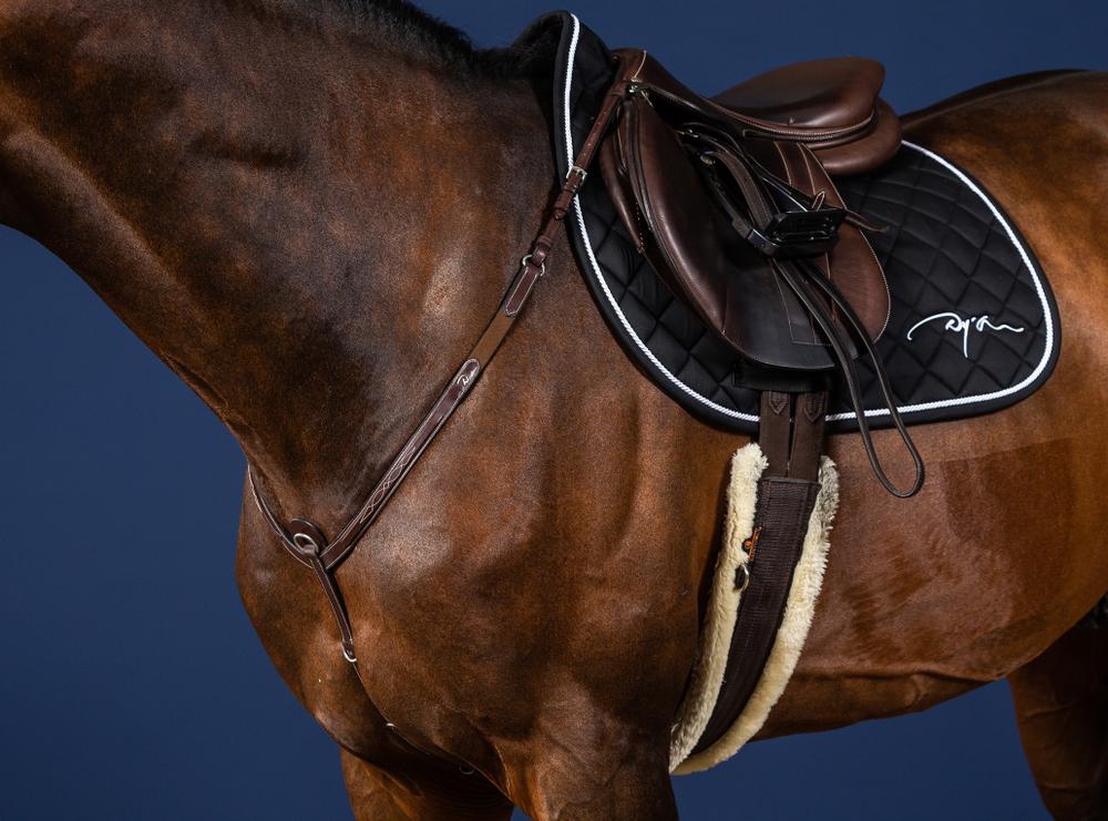 Vorderzeug mit Elastik