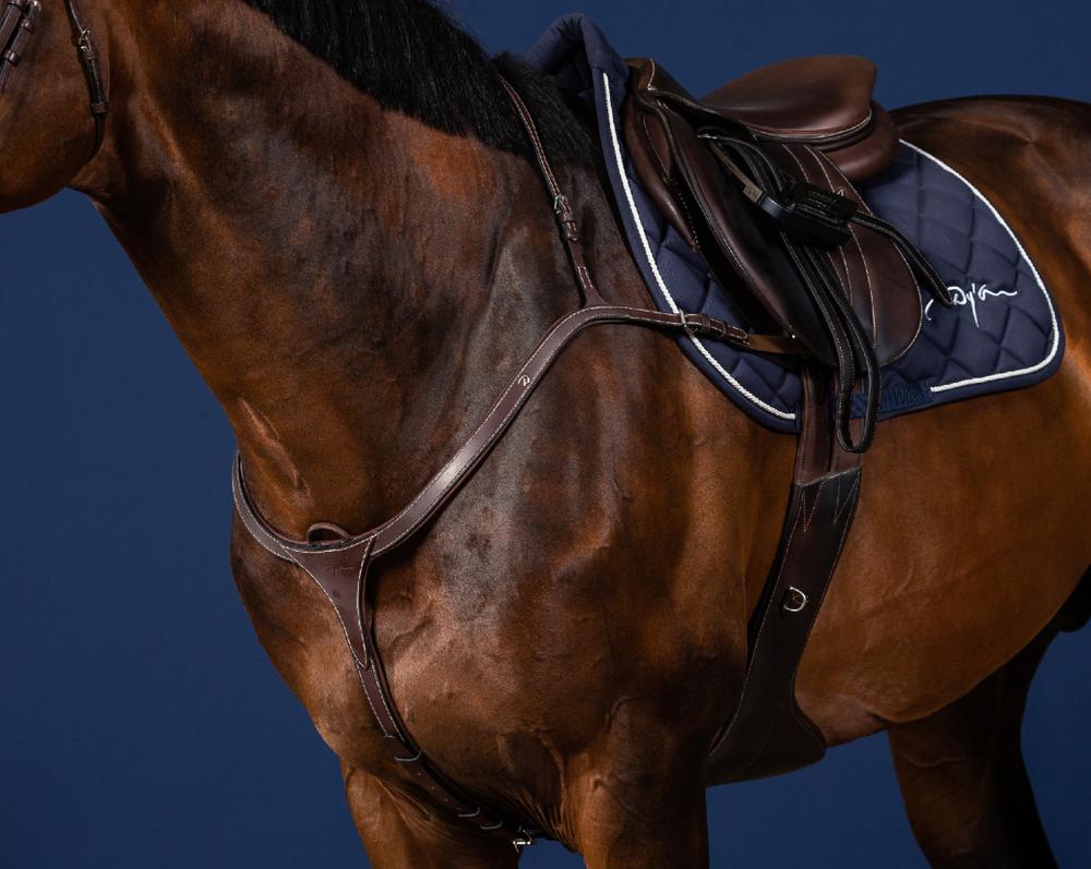 Vorderzeug mit langer Brücke