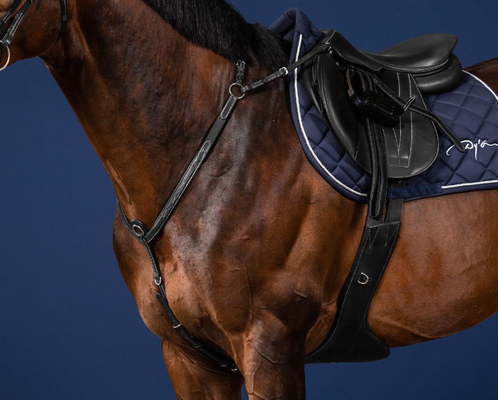 Vorderzeug mit Brücke