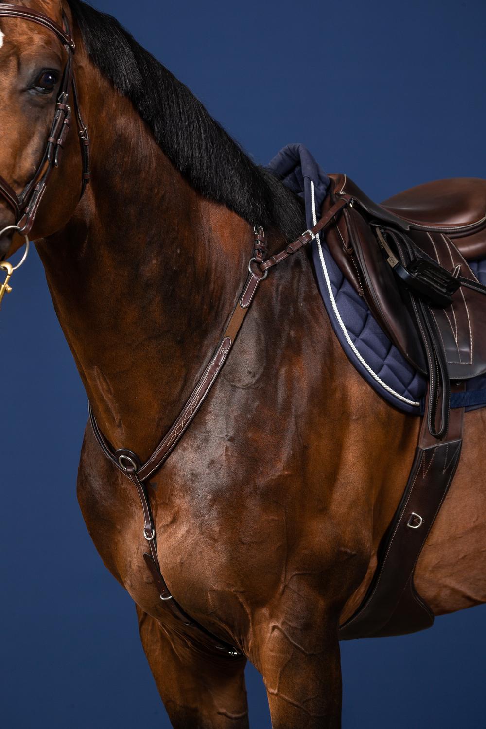 Vorderzeug mit Brücke