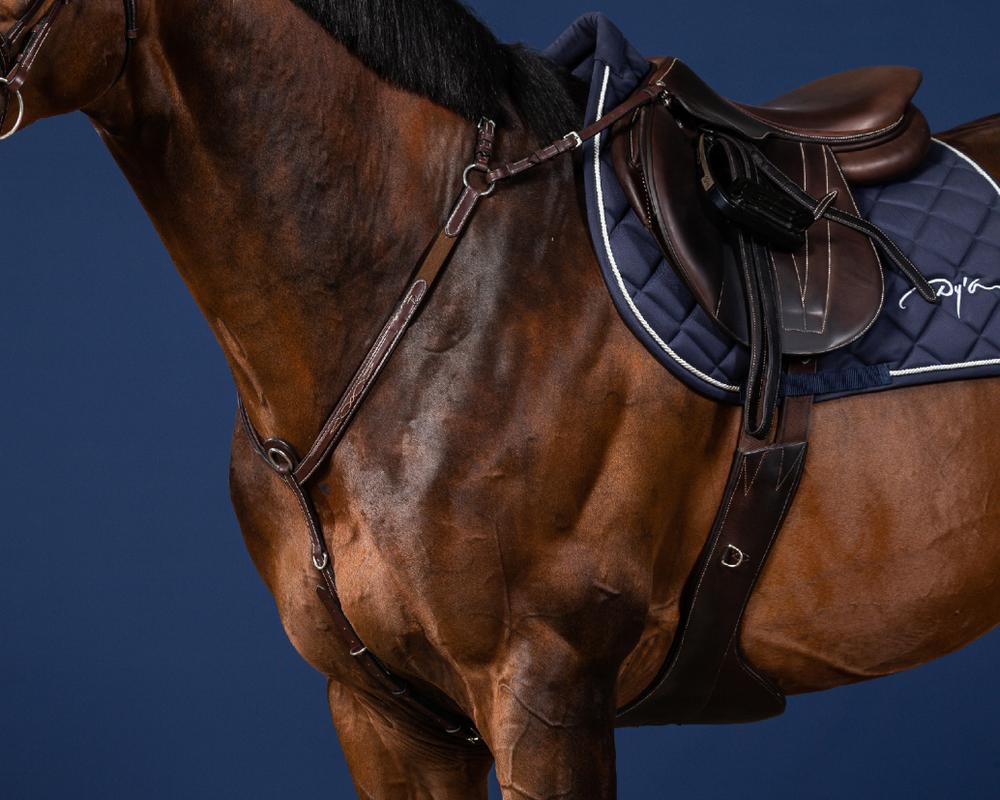 Vorderzeug mit Brücke