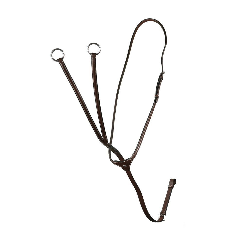 Gleitendes Ringmartingal