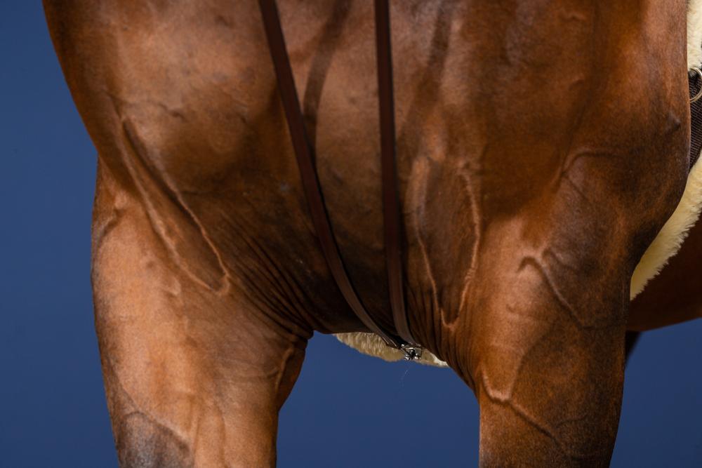 Schlaufzügel aus Vollleder 1/2" 13mm