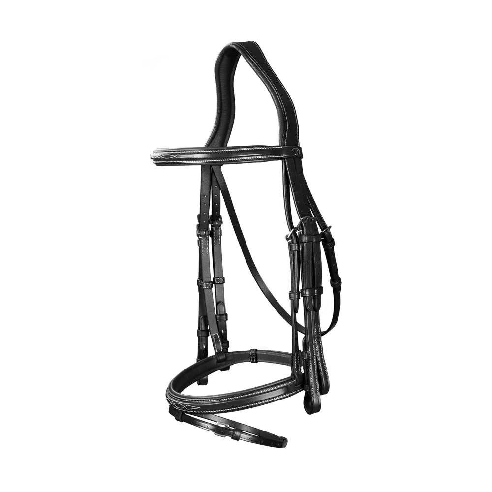 Kandare mit kombiniertem Reithalfter