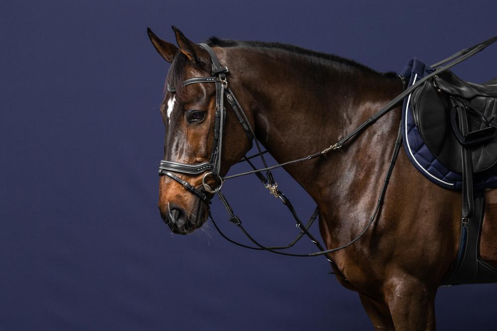 Gogue Gummizügel 1/2" 13mm