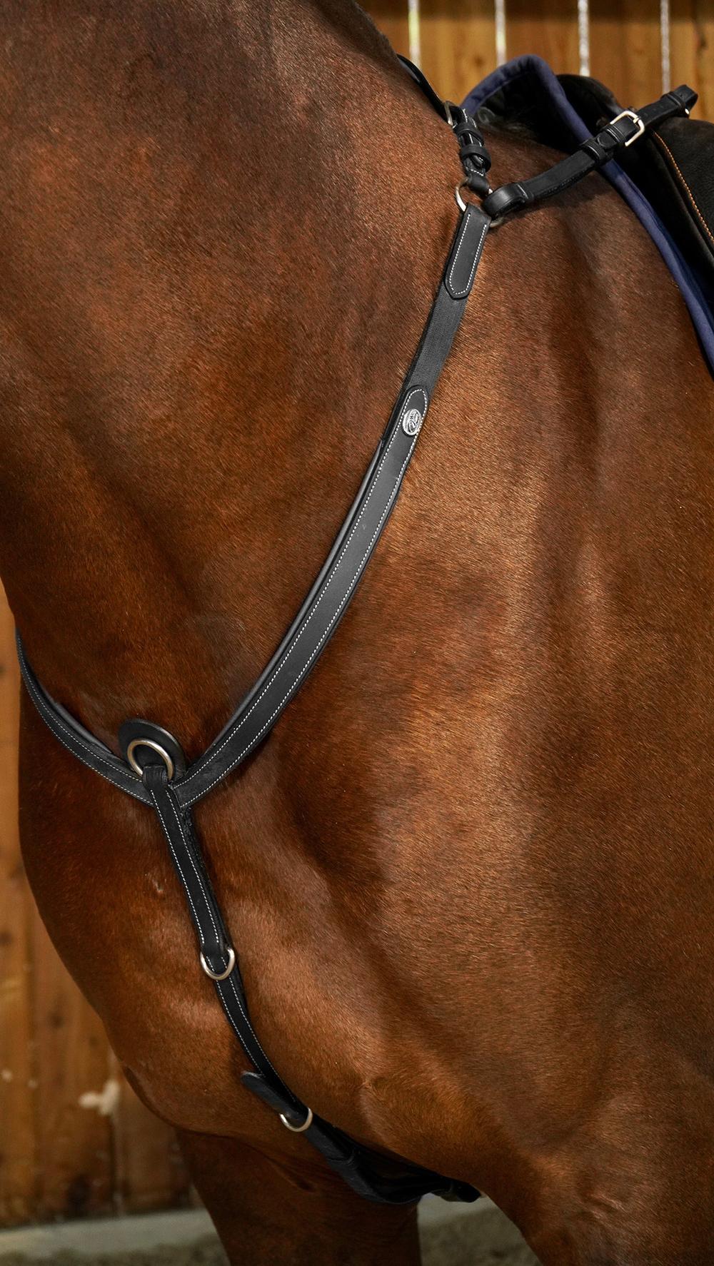 Vorderzeug mit Brücke