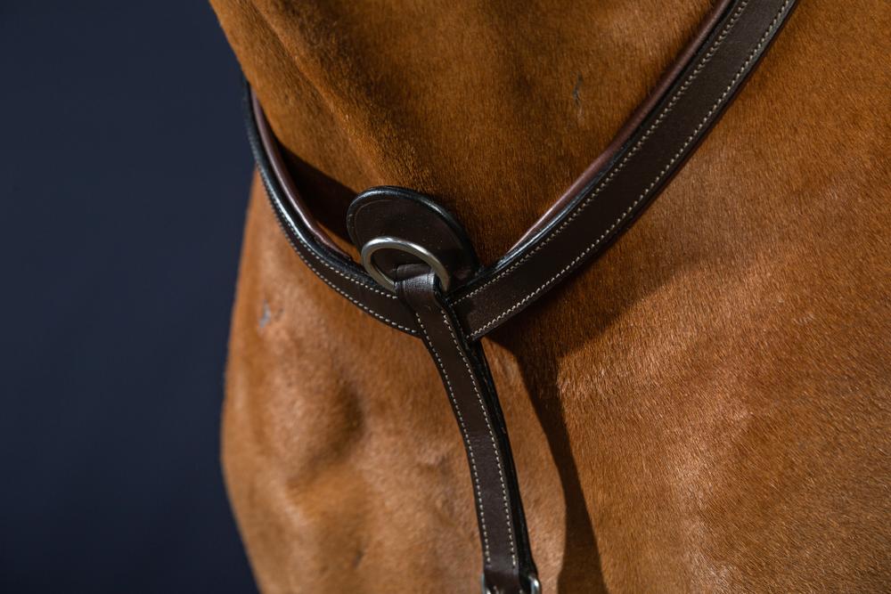 Vorderzeug mit Brücke