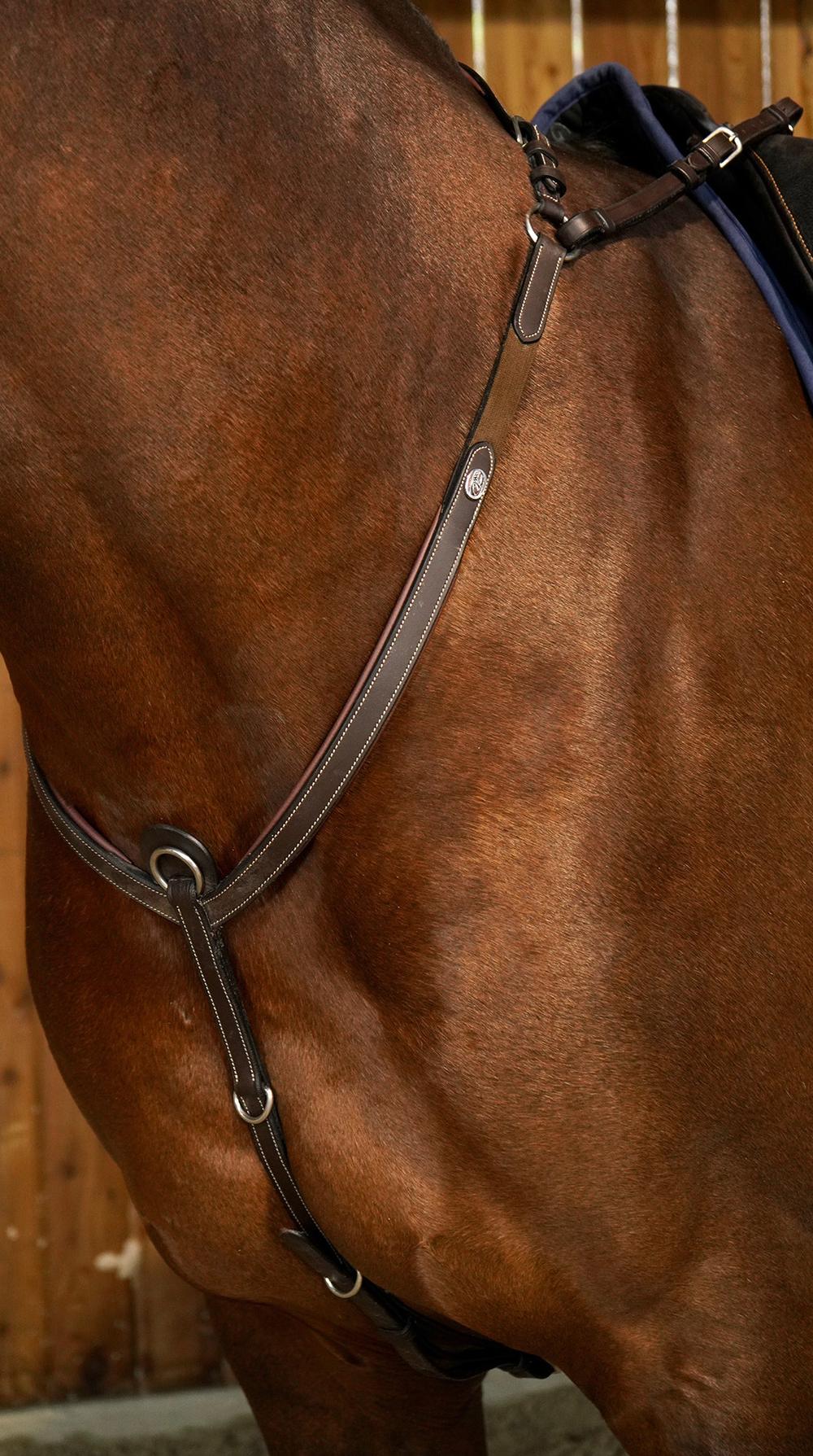 Vorderzeug mit Brücke