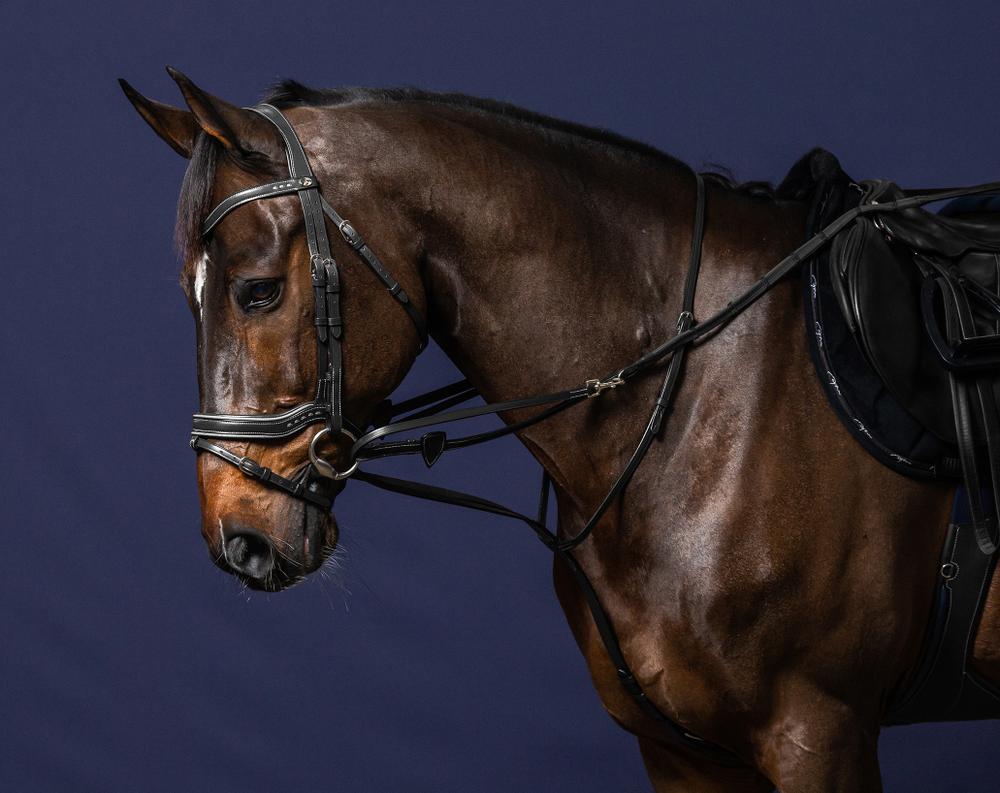 Howlett Thiedemannzügel