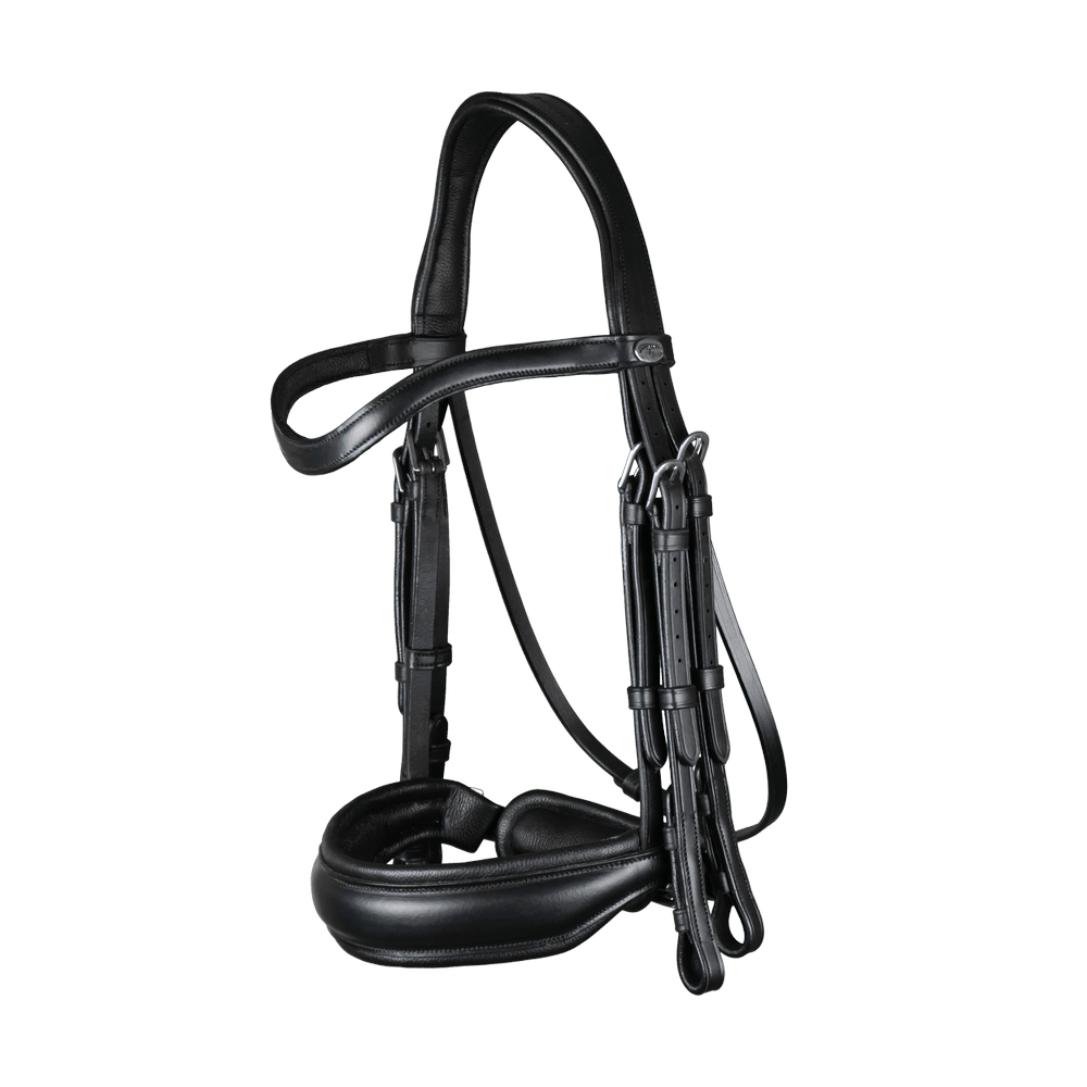 Kandare mit schwedischem Reithalfter