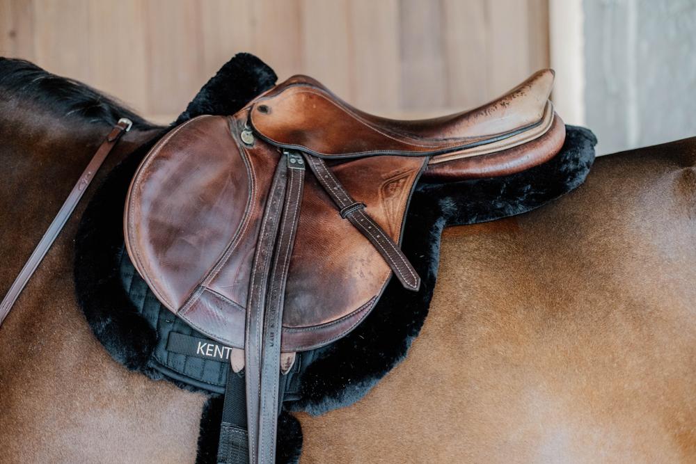 Schabracke Hunter Vegan Lamfell Springen - Kentucky Horsewear