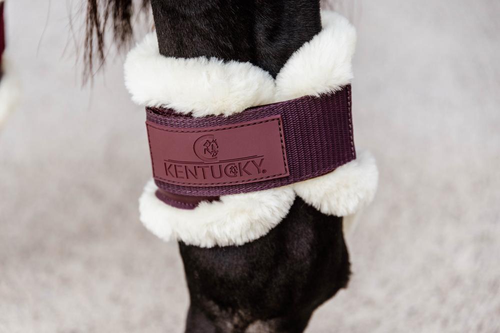 Streichkappe Young Horse - Kentucky Horsewear