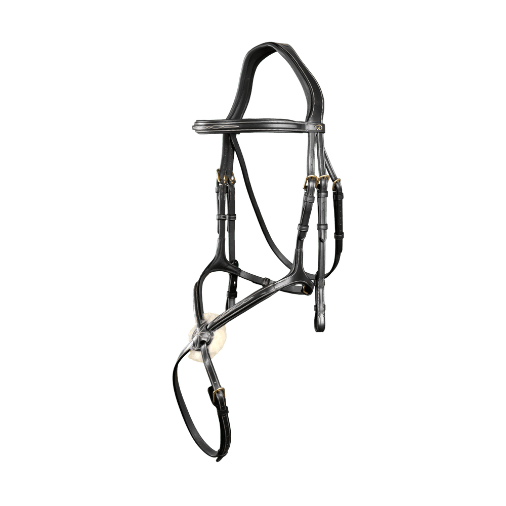 Trense mit mexikanischem Reithalfter