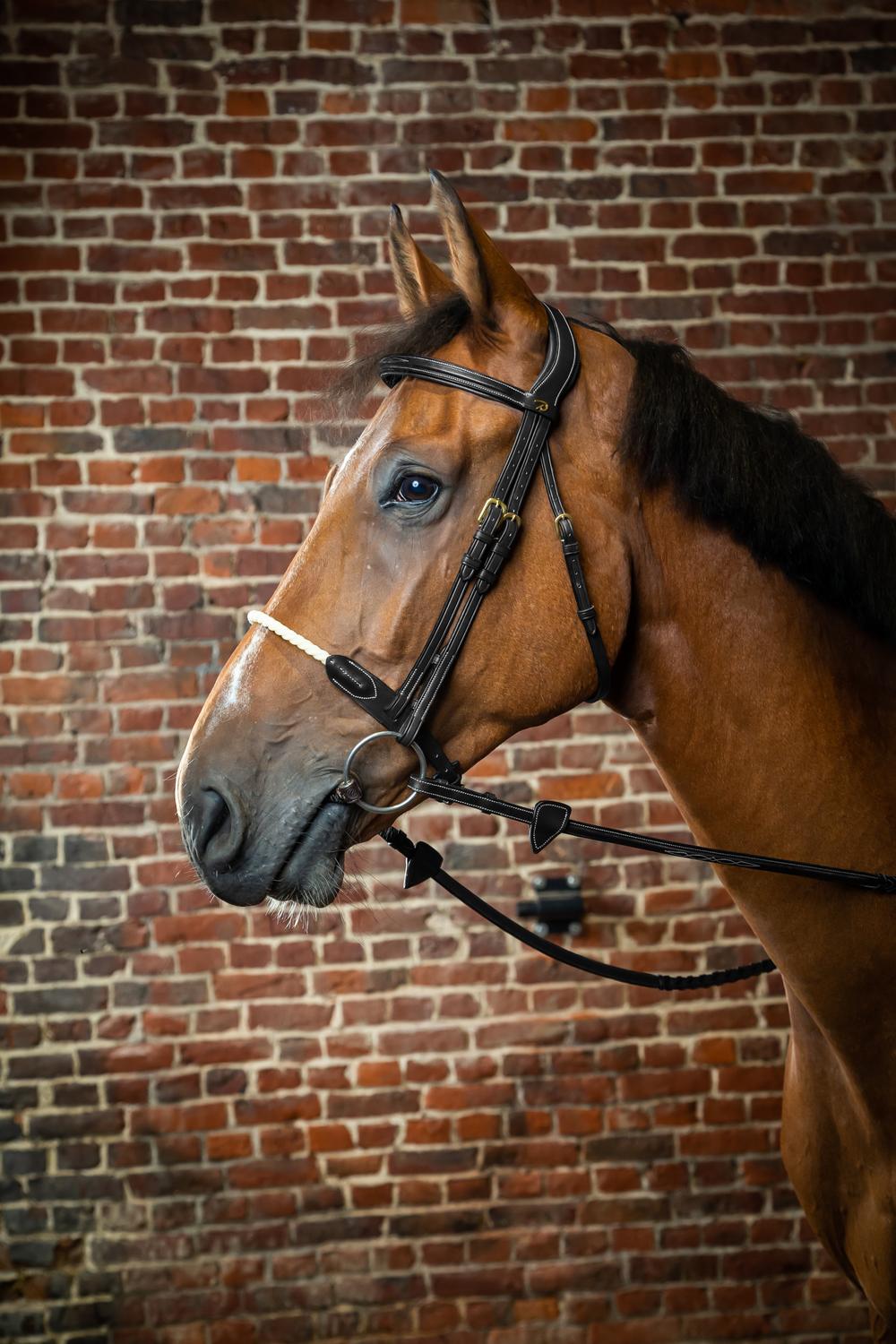 Trense mit Strickreithalfter