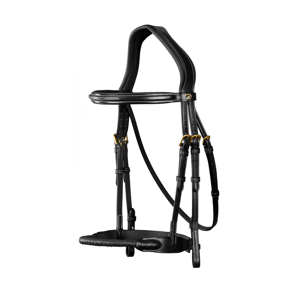 Trense mit Strickreithalfter mit Leder ummantelt