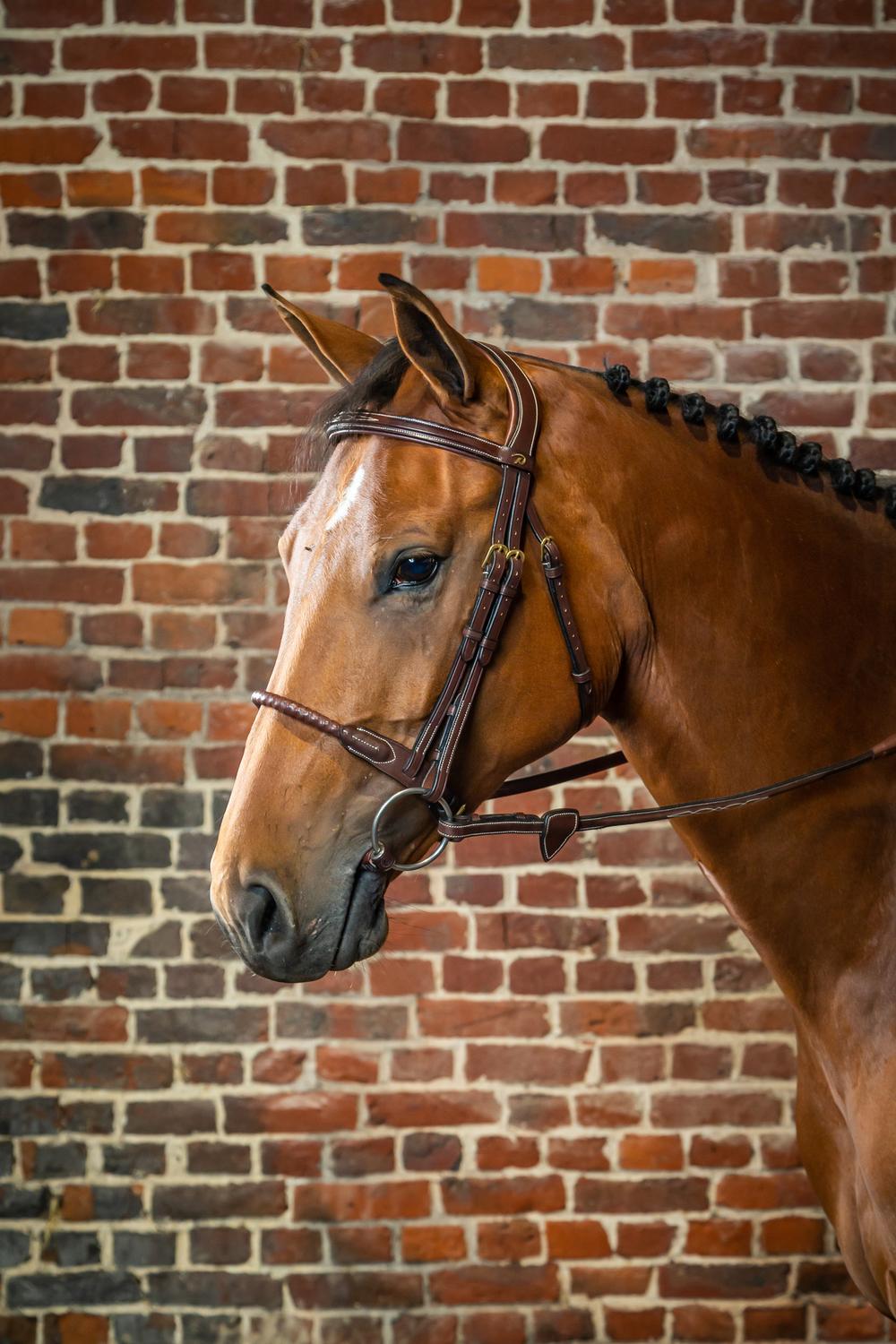 Trense mit Strickreithalfter mit Leder ummantelt