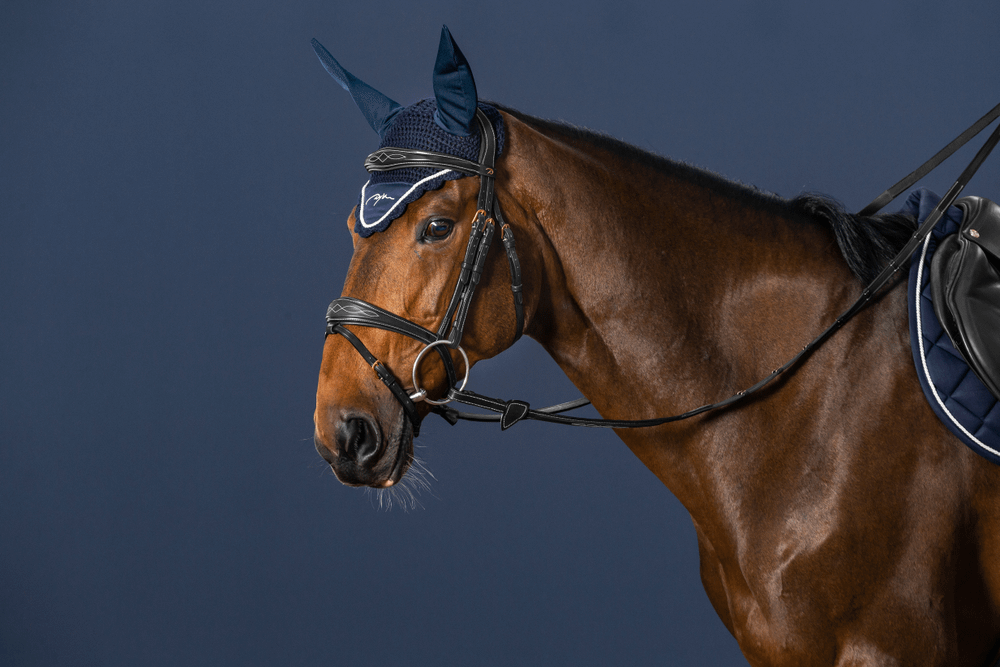 Anatomische Trense mit kombiniertem Reithalfter